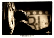 Drummer at Blues Chicago Kopie