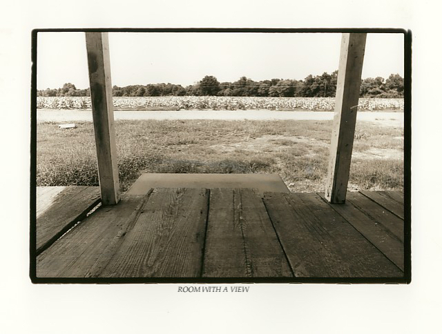 ROOM WITH A VIEW.jpg