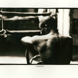 SPARRING.jpg